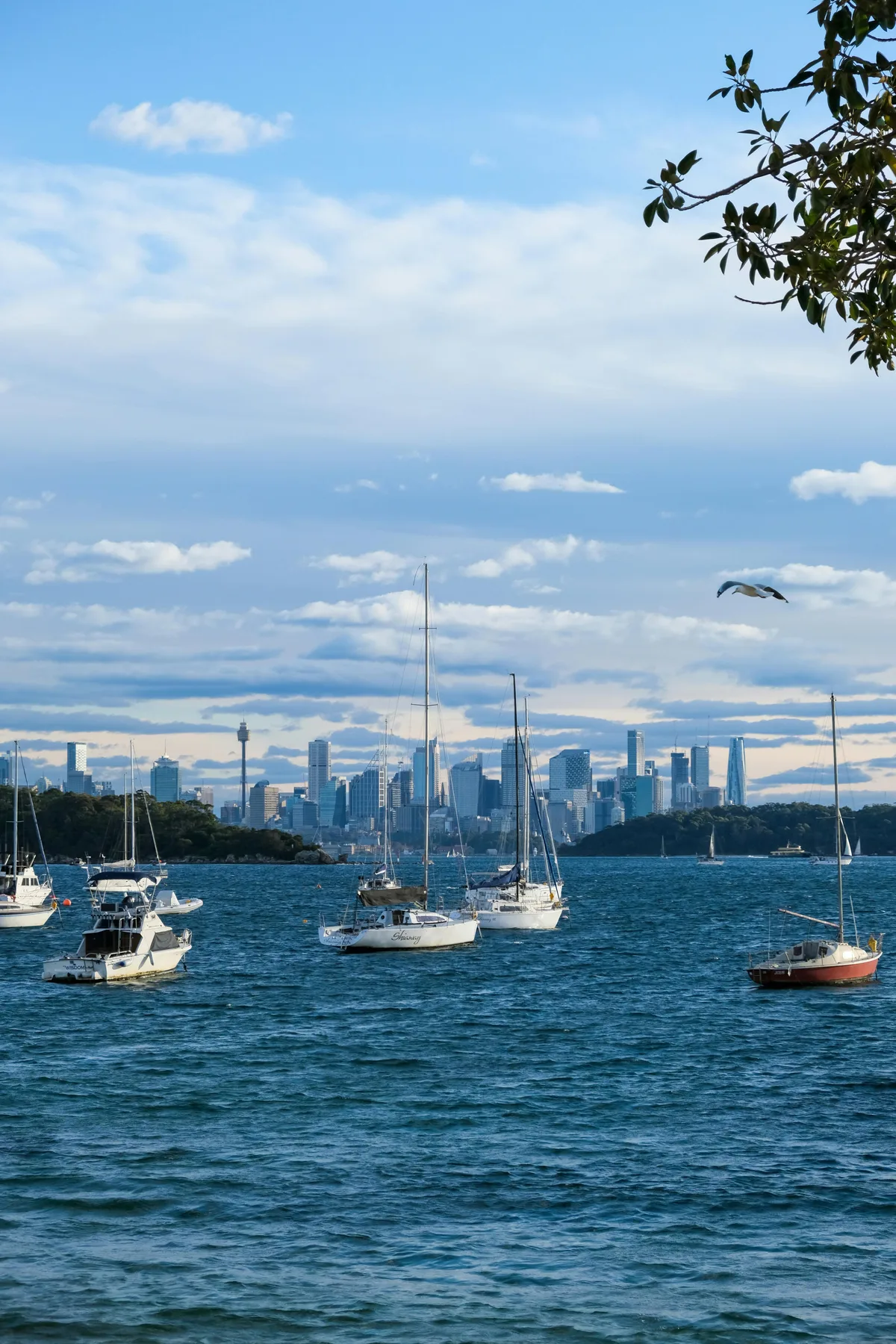 Potts Point scenery