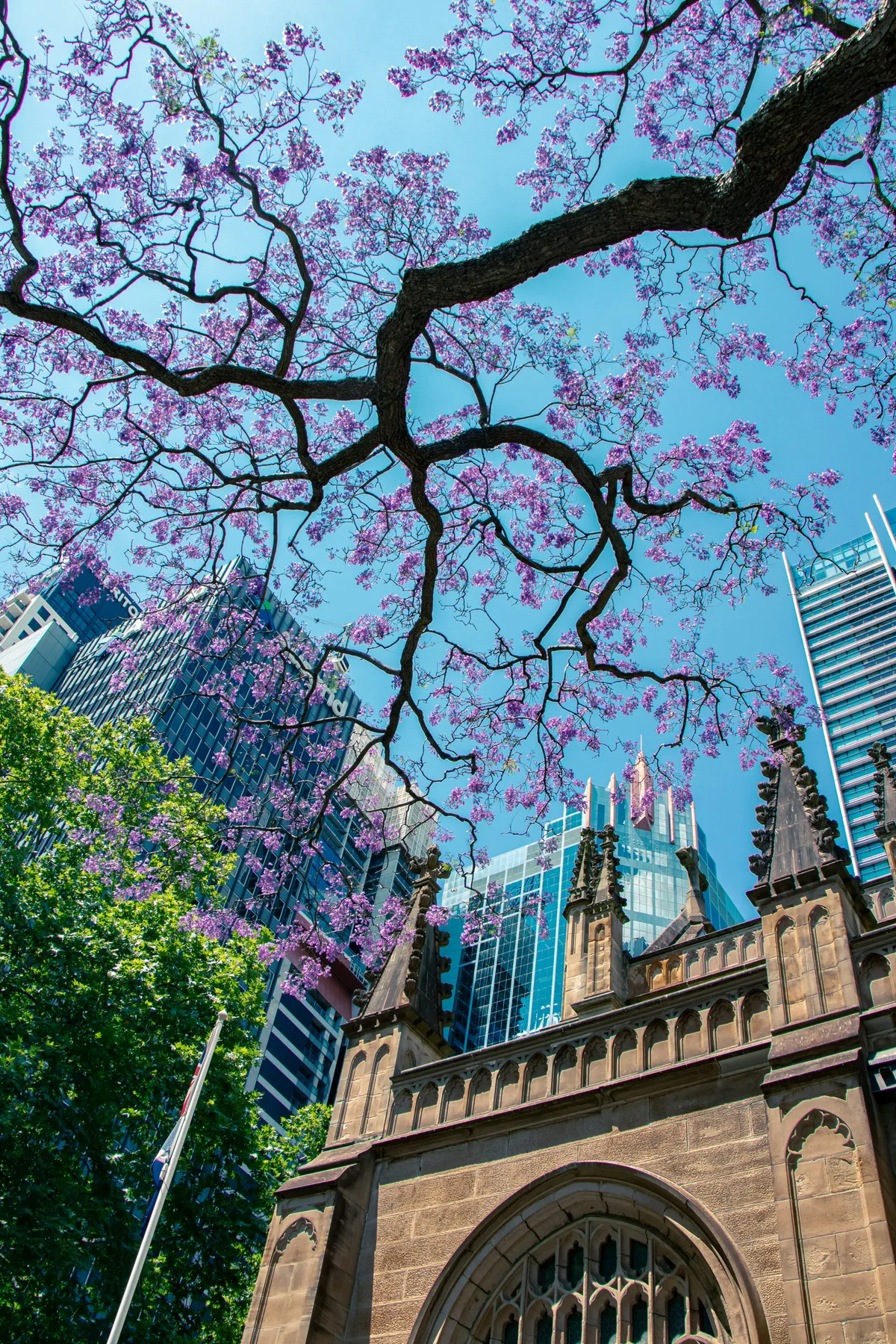 Sydney Harbour Bridge